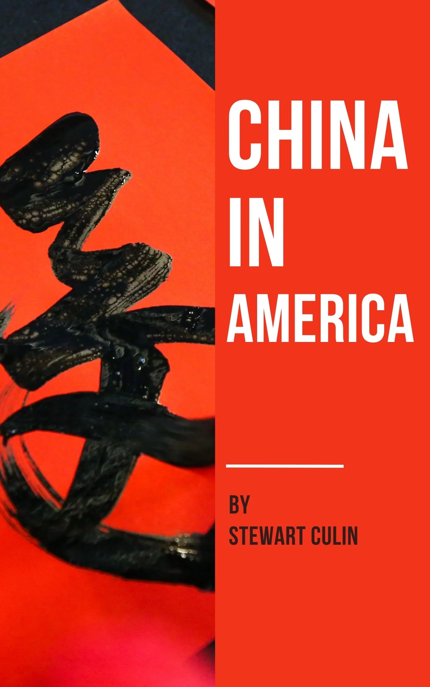 China in America by Stewart Culin Audiobook