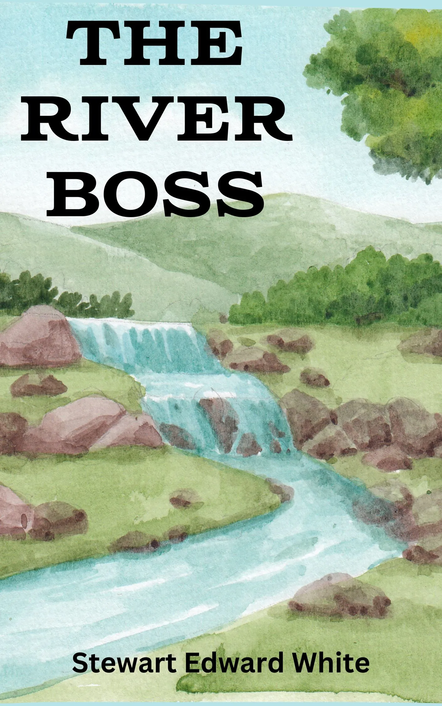 The River Boss by Stewart Edward White Audiobook