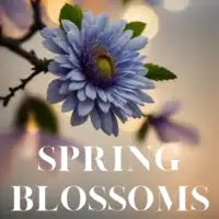 Spring Blossoms Audiobook by Anonymous
